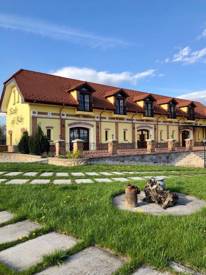 Kastely Grof Zichy Hotel Haniska ภายนอก รูปภาพ