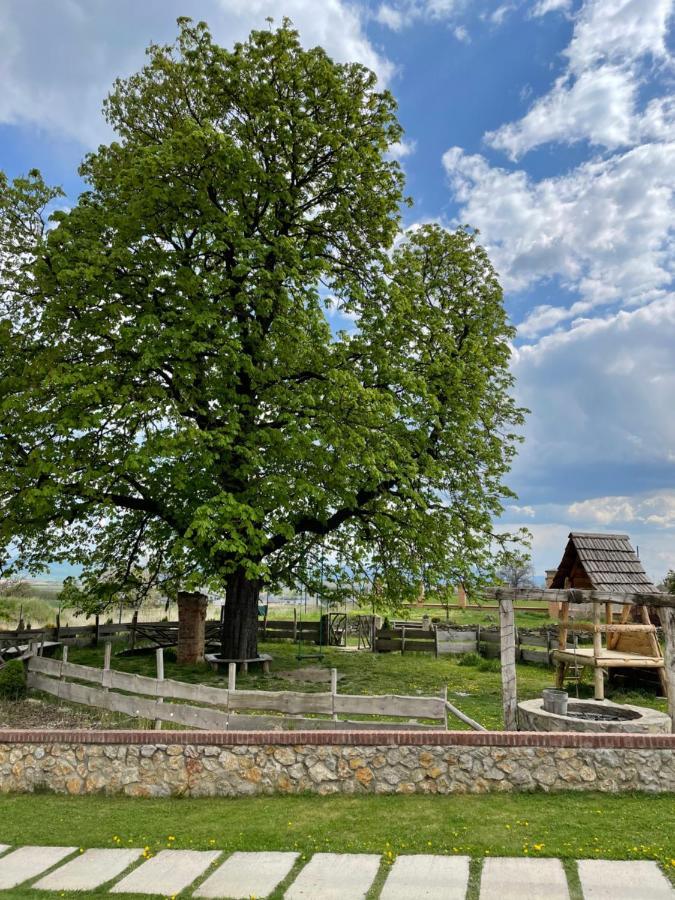 Kastely Grof Zichy Hotel Haniska ภายนอก รูปภาพ